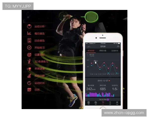 羽毛球装备市场增长，智能球拍传感器技术受青睐