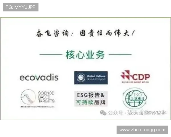 可持续发展指标权重增加 引导长期投资方向